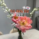 세교 봄약국 | 오산 꽃집 어버이날 스승의날 선물용 꽃다발 세교동 오로즈