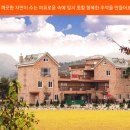 여우그늘펜션