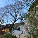 옥류천이야기길(동축사길) 이미지