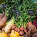 덕화 농장 이미지