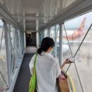 홍콩 1일차 : 홍콩에어라인🛫, A11버스(공항&gt;셩완), 아이클럽셩완 호텔