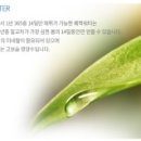 대신카크리닉 이미지