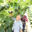 김영길농장 이미지