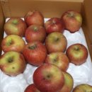 성재농장 이미지