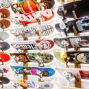 땅콩 게임장 이미지