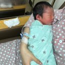 가톨릭병원 | 대구 가톨릭 대학교병원 제왕 출산 후기 (2인실, 대가대 배진영 교수님)
