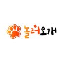놀러오개 애견유치원 모충점 이미지