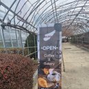 (주)오리엔탈컨설팅 | [세종 신상카페 추천] 세종 샐러드맛집 최신 스마트팜으로 재배한 신선한 야채로 브런치추천 연서면카페...