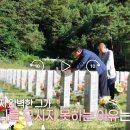 심영 | MBN 특종세상 697회 : 효자배우 김영인, ‘내가 고자라니’의 주인공에서 효심 깊은 건설사 대표까지