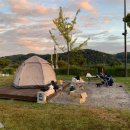 가-53 | 여주 금은모래캠핑장 가구역 53번 후기 요금 예약 꿀TIP!