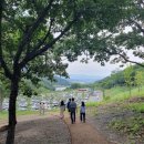 진주텃밭 | 진주 수국수국 페스티벌 다녀온 후기