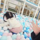 자라스파펜션 | 프렌들리하고 일본 감성 노천탕 펜션이 매력적인 '플로팅웨일 가평 풀빌라스파리조트' 100%내돈내산 후기