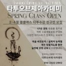 놀타투