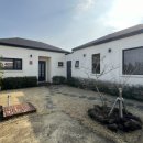 하도리 동동동 이미지