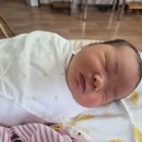 [둘째 출산일기] 제왕절개 후기 다섯째 날 @김포나리여성병원 #퇴원교육 #신생아 황달 #무료 사진 인화