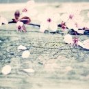 달빛되어 이미지