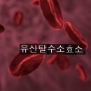 <8월 24일 >유산탈수소효소 이미지