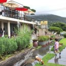 옥천냉면황해식당본점 이미지