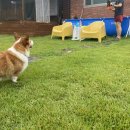 십일월오일 이미지