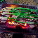 파란민박 이미지