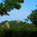 금산알뜰주유소 이미지