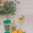 풀잎문화센터 🍋 향기로 힐링하는 시간, 원예테라피 수업 후기 🌿– 레몬 &amp; 민트로 만드는 감성 힐링 클래스