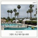 제주 그랜드조선호텔 힐스위트 제주도 태교여행 숙소 수영장