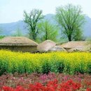 고향의 봄 이미지