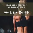 팀스파르타짐 이미지