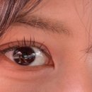 세컨페이스안경 위드렌즈 대연점 이미지