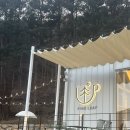 소나무집 | 강원도 평창 애견동반 가능한 숲뷰 대형카페 파인리프