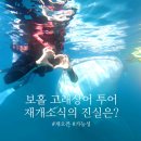 릴라 | 보홀 고래상어 투어 재개 소식의 진실ㅣ금지 전 릴라 다녀온 후기