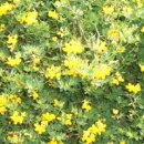 혜민농장 이미지