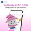 와이드