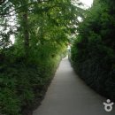 청산수목원 Daum카페