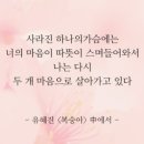 핑크스토리 이미지