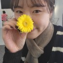 푸른달플라워케이크
