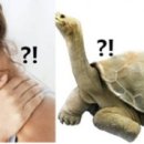 기운내한의원 이미지