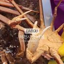 시장 | 대구 매천시장 대게 구매 후기 | 가격 시세 정리