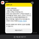 현대차 2025 포레스트런 굿즈 패키지 언박싱 총정리📦🌱