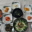 본동물회 이미지