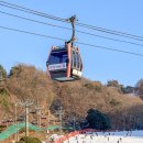 뽀삐뽀삐 | 홍천 비발디파크 스키장 리프트권 가격 할인 렌탈샵 뽀삐 후기