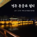 곱돌마루 | 1박 2일 경주 여행 두 번째 야경 명소 [동궁과 월지]알아보고 가세요! (+ 주차, 운영시간, 여행 팁...