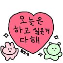 비타광고 - 16866 | 비타광고
