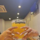 CATS TIME CAFE | 베네치안호텔출발 페리타고홍콩 🛥 셩완,미드레벨,samsen,마미팬케이크,스타의거리,홍콩예술관짐보관...