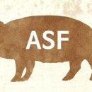 혜훈농장 이미지