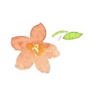 차한의원 이미지