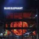 엘리펀트 마켓 | 블루엘리펀트 성수 크리스마스 미디어아트 | 12.24~31 연말 데이트 코스 추천