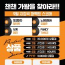 챈챈코인노래연습장 이미지