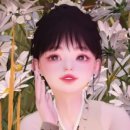 데이지 독 이미지